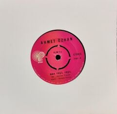 Ahmet Özhan – Bak Yeşil Yeşil / İçimde Kim Vardır Bir Bilebilsen 45'lik