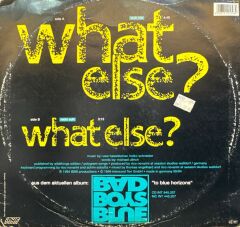 Bad Boys Blue – What Else?