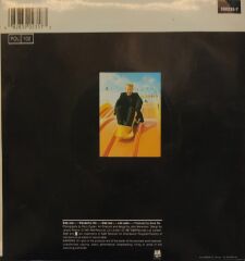 Black – Wonderful Life  45'lik