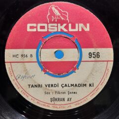 Şükran Ay ‎– Vicdanın Yokmu Senin / Tanrı Verdi Çalmadım Ki 45LİK