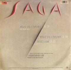 Saga – What Do I Know?