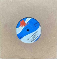 Meral - Zuhal – Al Ve Isıt Ellerimi / Umutlarım Bitmesin 45'lik