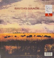 Robert Plant & Suzi Dian – Saving Grace