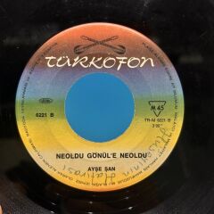 Ayşe Şan – Yayladan Gel Gülüm / NE OLDU GÖNÜL'E NE OLDU 45LİK