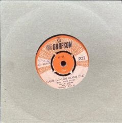 Erol Evgin – Garip Gönlüm Olmuş Deli / Bulmak İsterim Seni 45'lik