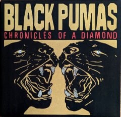 Black Pumas – Chronicles Of A Diamond