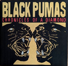 Black Pumas – Chronicles Of A Diamond