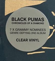 Black Pumas – Chronicles Of A Diamond