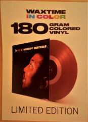 Muddy Waters – The Best Of Muddy Waters