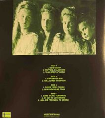 Type O Negative – Dead Again