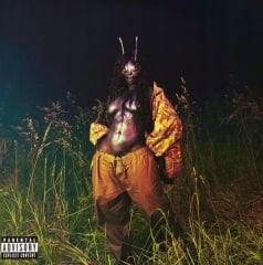 SZA – SOS Deluxe: Lana (Yeşil Plak)