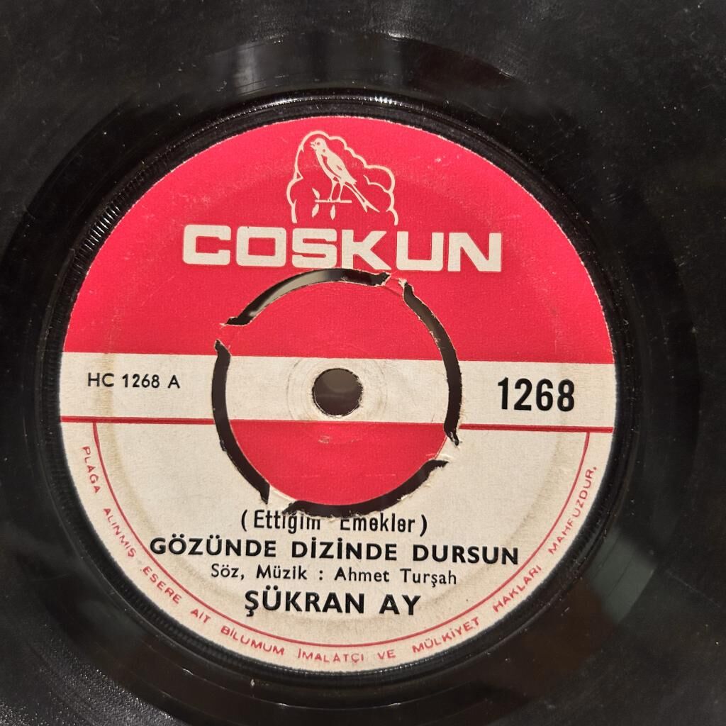 Şükran Ay – Gozunde Dizinde Dursun / Oyle Boski Su Gonlum 45LİK