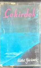 Çekirdek – Siste Yürümek Kaset