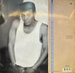 Narada – Divine Emotions