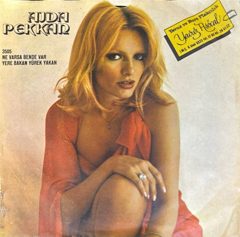 Ajda Pekkan – Ne Varsa Bende Var / Yere Bakan Yürek Yakan 45'lik