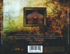 Dikkat Cd Alanis Morissette – Flavors Of Entanglement