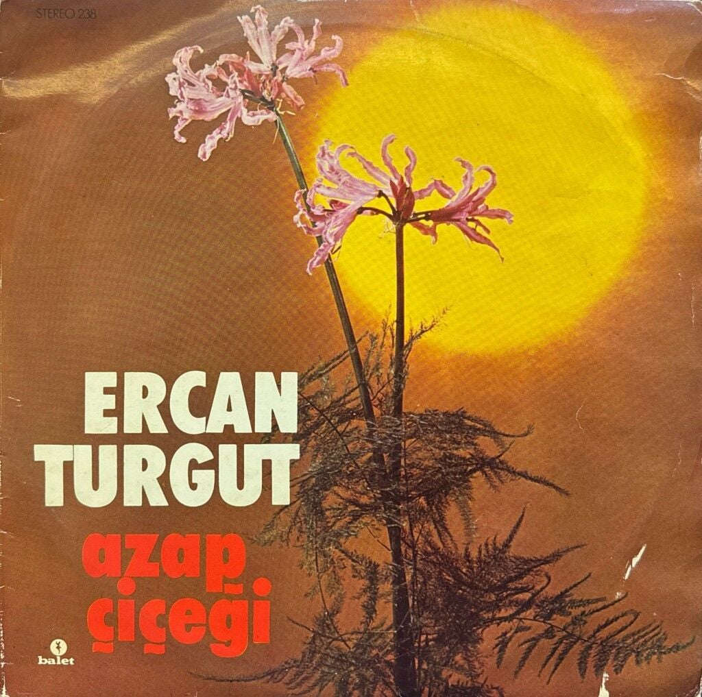 Ercan Turgut – Azap Çiçeği
