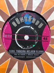 Mehmet Bozdoğan ‎– Dağdan İndim Düze Ben / Kama Yarasına Melhem Olurmu DÖNEM BASKI 45LİK