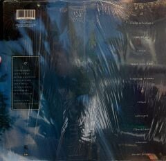 Alice ‎– Il Sole Nella Pioggia 1989 BASKI LP