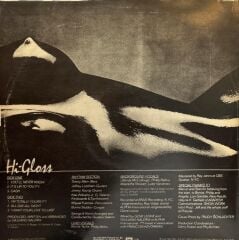 Hi-Gloss ‎– Hi-Gloss You'll never know bu Albümde 1981 BASKI LP