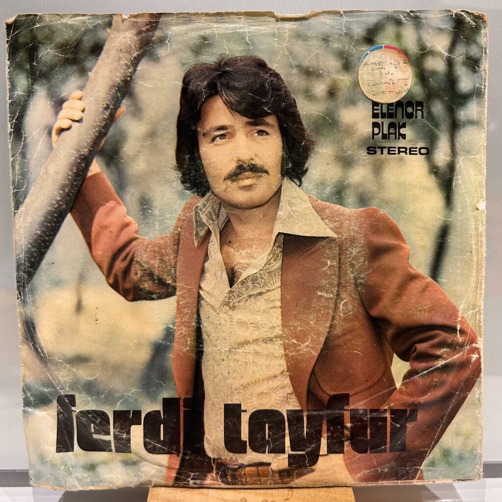 Ferdi Tayfur ‎– Alıştım / Yağmur Gözyaşım 1976 BASKI 45LİK