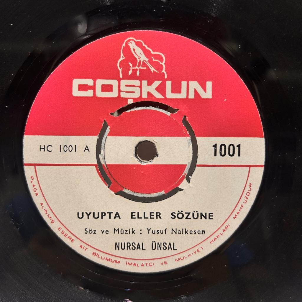 NURSAL ÜNSAL UYUPTA ELLER SÖZÜNE /GELMEDİN AYLAR OLUYOR 45LİK