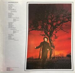 Zucchero Sugar Fornaciari ‎– Oro Incenso & Birra 1989 BASKI LP