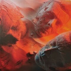 Muse – Will Of The People LP