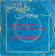 Selahattin Cesur – Bir Ayağım Çukurda / Hem Suçlusan Hem Güçlü 45'lik