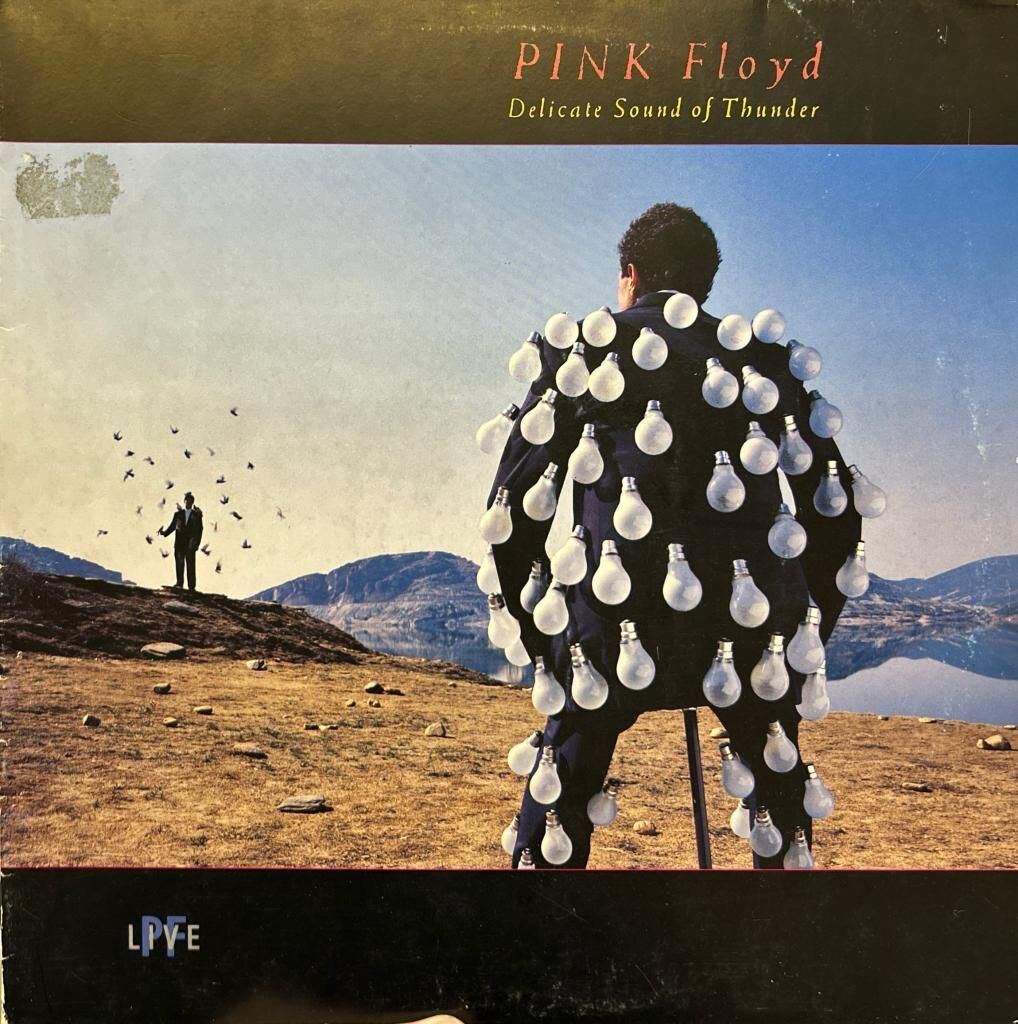 Pink Floyd – Delicate Sound Of Thunder 1988 BASKI ÇİFT PLAK LP