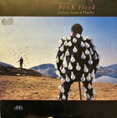 Pink Floyd – Delicate Sound Of Thunder 1988 BASKI ÇİFT PLAK LP