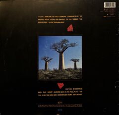 Pink Floyd – Delicate Sound Of Thunder 1988 BASKI ÇİFT PLAK LP