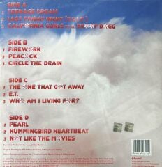 Katy Perry – Teenage Dream 2010 BASKI LP
