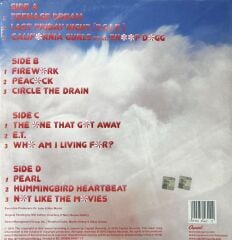 Katy Perry – Teenage Dream 2010 BASKI LP