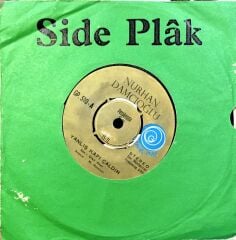 Nurhan Damcıoğlu – Yanlış Kapı Çaldın / Fakir Kızı 45'lik