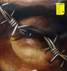 Post Malone – Beerbongs & Bentleys Rockstar bu albümde 2XLP