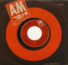 Janet Jackson – When I Think Of You/Pretty Boy 45'lik