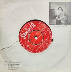 Hayri Şahin – Yaptığını Beğendin Mi? / Acı Izdırap 45'lik