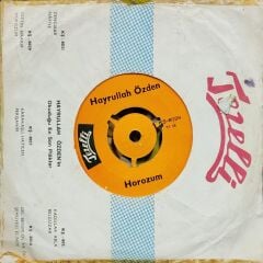 Hayrullah Özden - Horozum / Gittin Bırakıp 45'lik