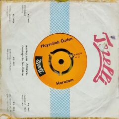 Hayrullah Özden - Horozum / Gittin Bırakıp 45'lik