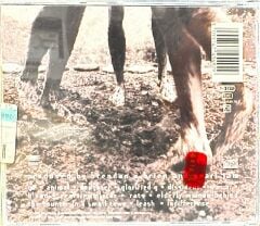 DİKKAT CD !!! Pearl Jam – Vs CD