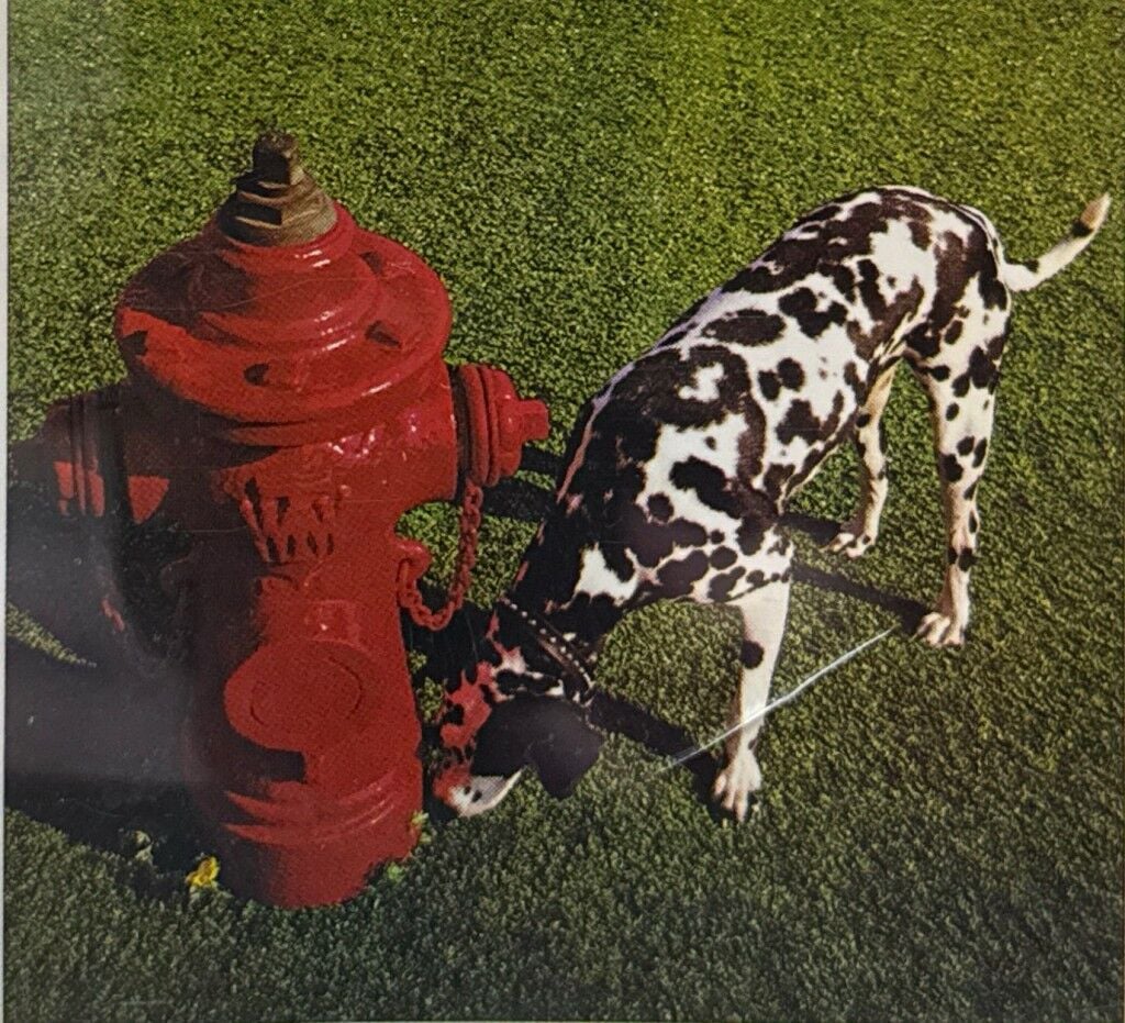 DİKKAT CD !!! Pink Floyd – Ummagumma CD