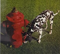 DİKKAT CD !!! Pink Floyd – Ummagumma CD