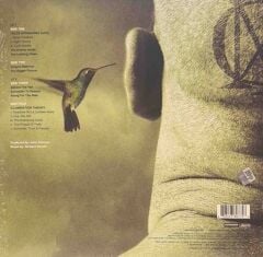 Dream Theater – Dream Theater