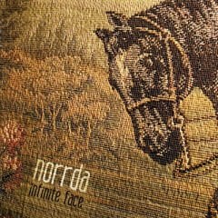 DİKKAT CD! Norrda – Infinite Face