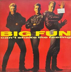 Big Fun – Can't Shake The Feeling
