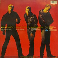 Big Fun – Can't Shake The Feeling