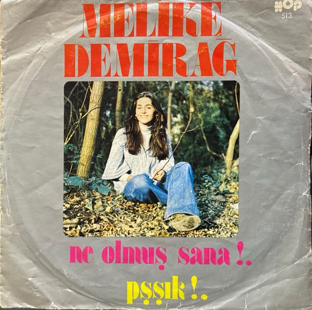 Melike Demirağ – Ne Olmuş Sana!.. / Pşşık!.. 45'lik
