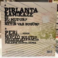 Nil Karaibrahimgil ‎– Tek Taşımı Kendim Aldım LP